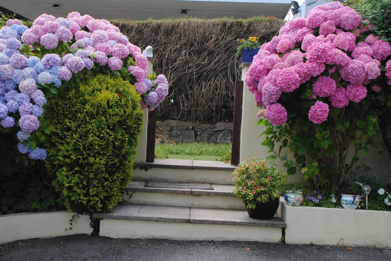 Huccaby Tor Apartmernt Torquay Esterno foto